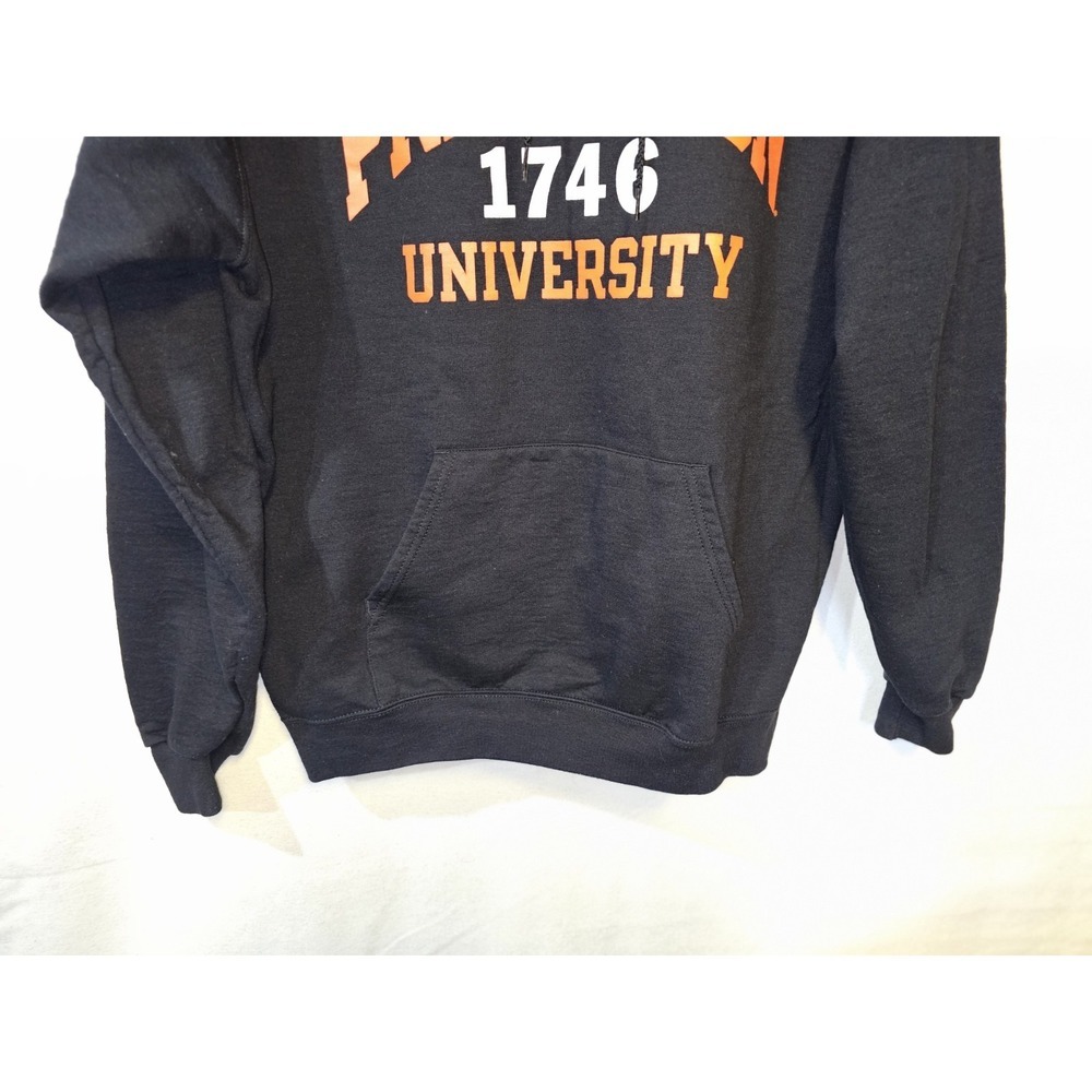 Champion Princeton University hoodie Size Large - Picture 7 of 9